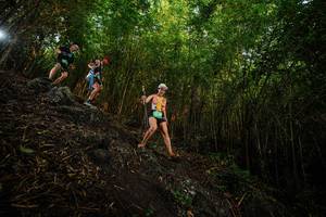 BIB: 
                            <button type="button" onclick="openModal(25098701)" class="btn btn-primary btn-sm float-right btn-popup" data-toggle="modal" data-target=".modal-high-quality">
                        <i class="fas fa-shopping-cart"></i> Add to Cart
                    </button>
                                            <button type="button" onclick="isThisMe(25098701, true)" class="btn btn-success btn-sm float-right btn-popup btn-isme hidden" data-toggle="tooltip" data-placement="bottom" title="นี่คือรูปของคุณใช่ไหม คลิกที่นี่เพื่อเอาเข้าอัลบั้ม">
                        <i class="fas fa-plus"></i> Add to album
                    </button>
                    <button type="button" onclick="isThisMe(25098701, false)" class="btn btn-warning btn-sm float-right btn-popup btn-isnotme hidden">
                        <i class="fas fa-ban"></i> Remove from album
                    </button>